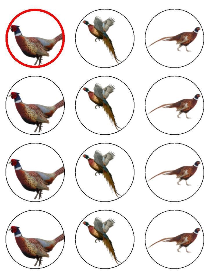 Game Bird Pheasant Hunting  edible printed Cupcake Toppers Icing Sheet of 12 Toppers