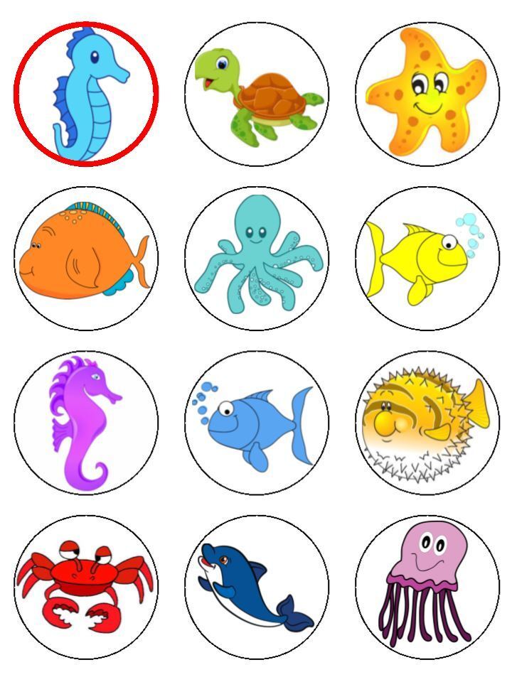 Fish etc Under the Sea theme  edible  printed Cupcake Toppers Icing Sheet of 12 Toppers