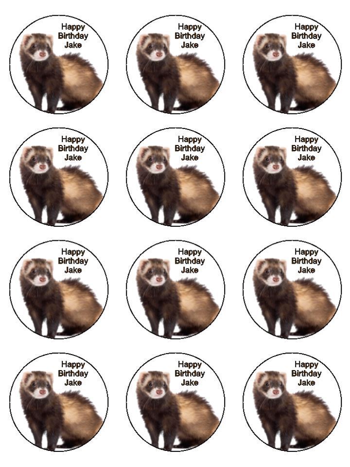 Ferret ferrets animals personalised Edible Printed Cupcake Toppers Icing Sheet of 12 toppers