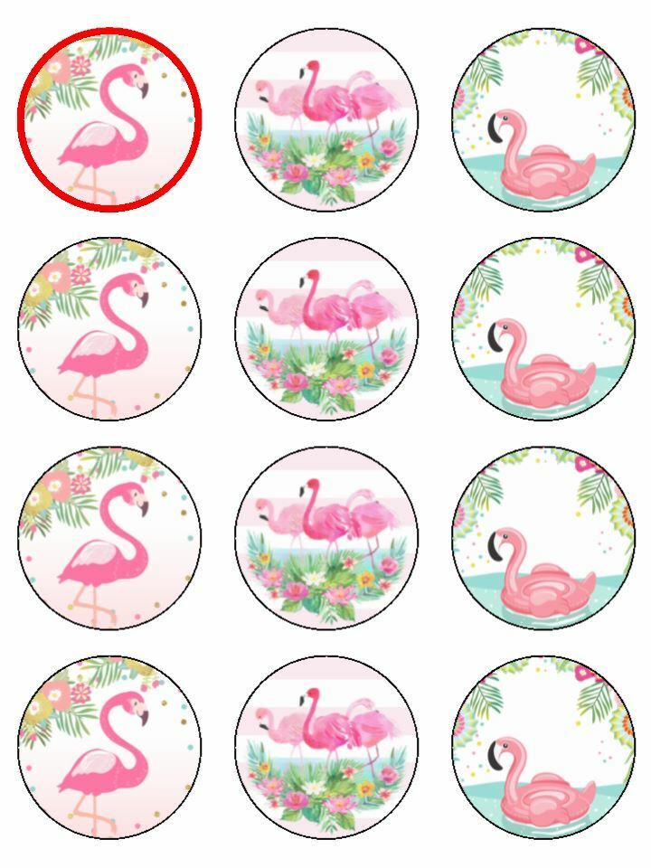 flamingos bird birthday party edible printed Cupcake Toppers Icing Sheet of 12 Toppers