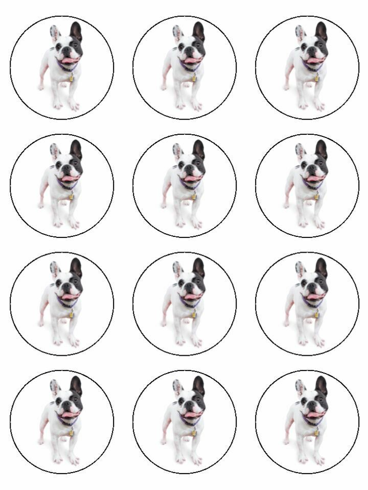 French french bulldog frenchie edible printed Cupcake Toppers Icing Sheet of 12 Toppers