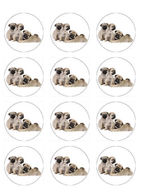 Pug Puppies Dogs  edible  printed Cupcake Toppers Icing Sheet of 12 Toppers