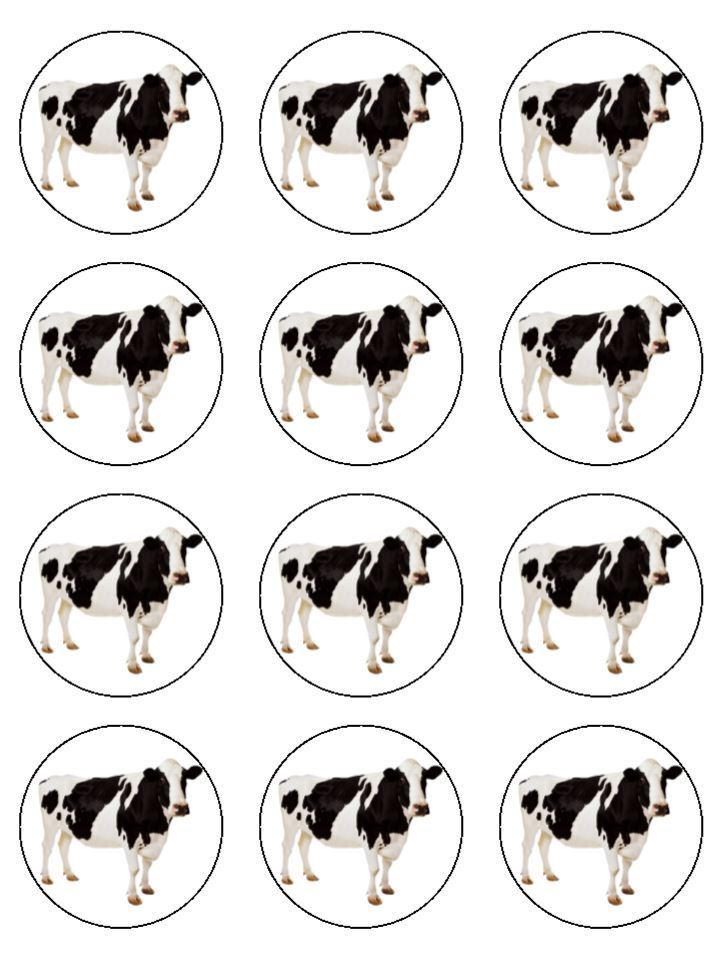 Holstein friesian edible printed Cupcake Toppers Icing Sheet of 12 Toppers