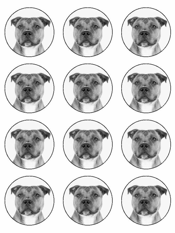 staffordshire bull terrier birthday edible Cupcake Toppers Icing Sheet of 12 Toppers