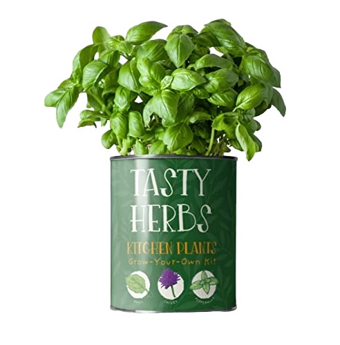 Tasty Herbs Grow Your Own Herbs Tin Kit Gardening Gift