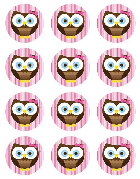 Owl Stripy Pink Cute Cupcake edible printed Cupcake Toppers Icing Sheet of 12 Toppers