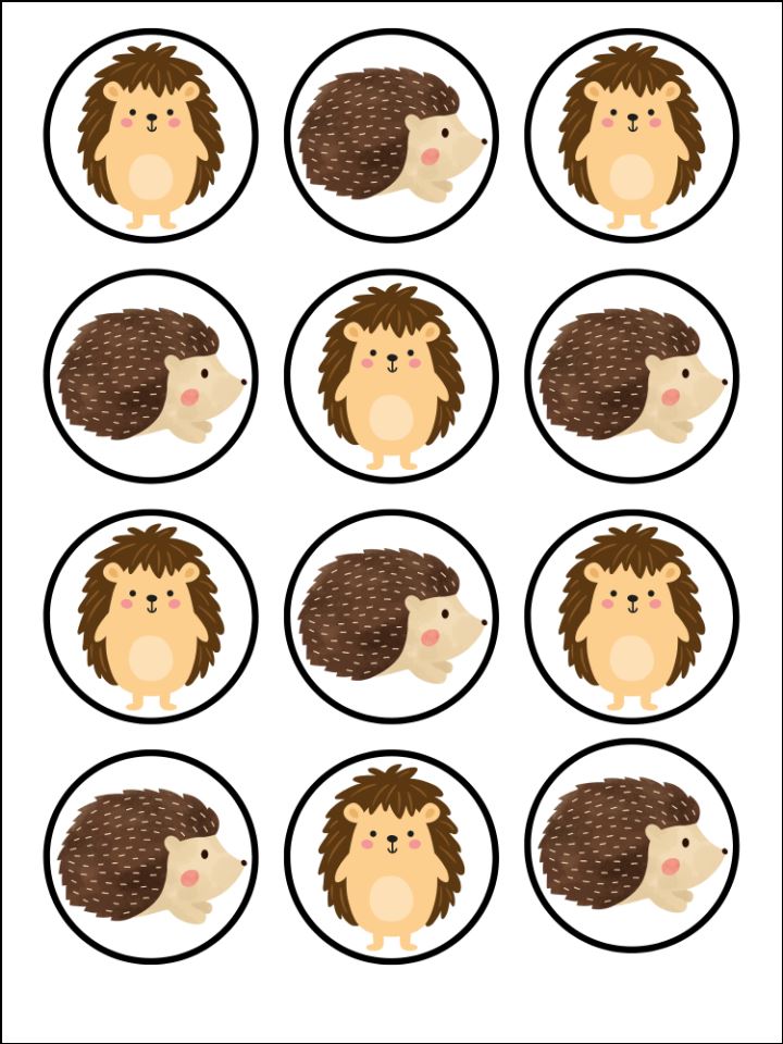 Cute Hedgehog Animal Edible Printed Cupcake Toppers Icing Sheet of 12 Toppers