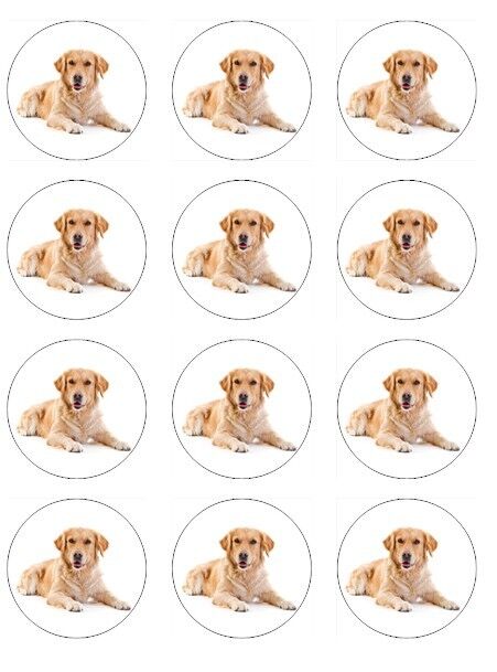 Golden Retriever   edible  printed Cupcake Toppers Icing Sheet of 12 Toppers