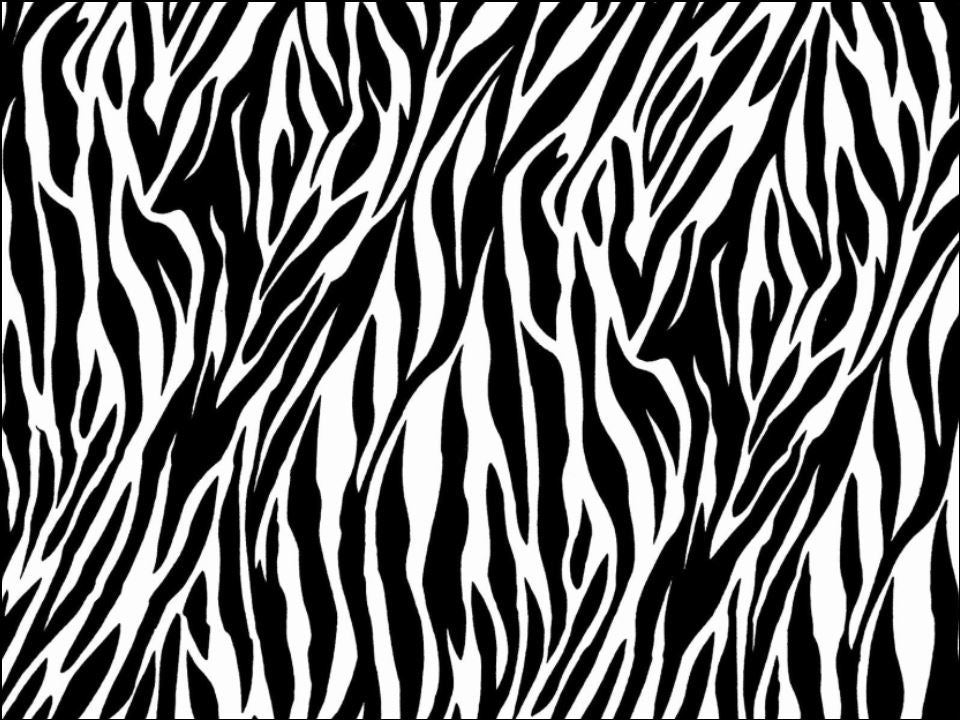 Zebra Print animal print edible Printed Cake Decor Topper Icing Sheet  Toppers Decoration