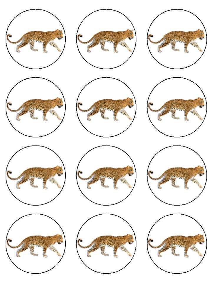 Leopard wild animal Edible Printed Cupcake Toppers Icing Sheet of 12 Toppers