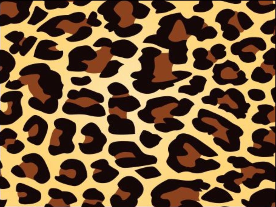 Brown & Black Leopard animal print edible Printed Cake Decor Topper Icing Sheet  Toppers Decoration