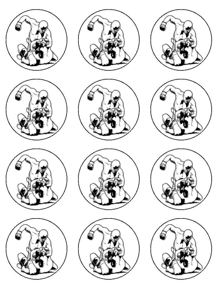 MMA fighting martial arts Edible Printed Cupcake Toppers Icing Sheet of 12 Toppers