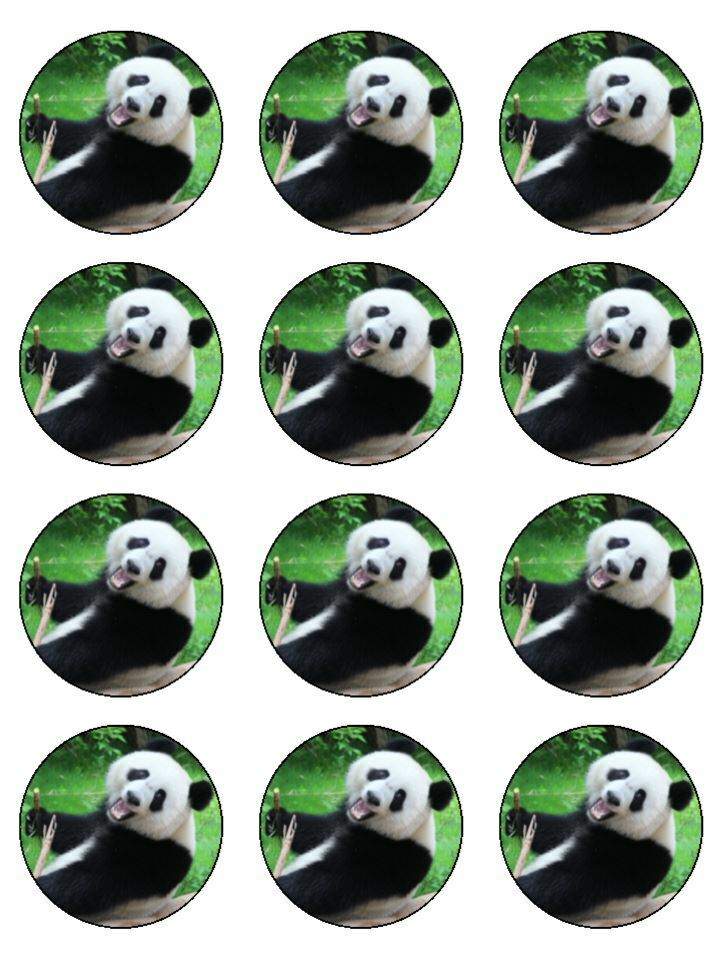 panda black white wild animal pet animal edible printed Cupcake Toppers Icing Sheet of 12 Toppers