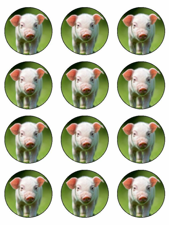 ig piggy piglet farm animal pet animal edible printed Cupcake Toppers Icing Sheet of 12 Toppers