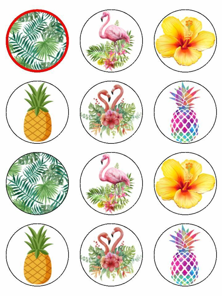 Tropical Beach pineapple Flamingo edible printed Cupcake Toppers Icing Sheet of 12 Toppers