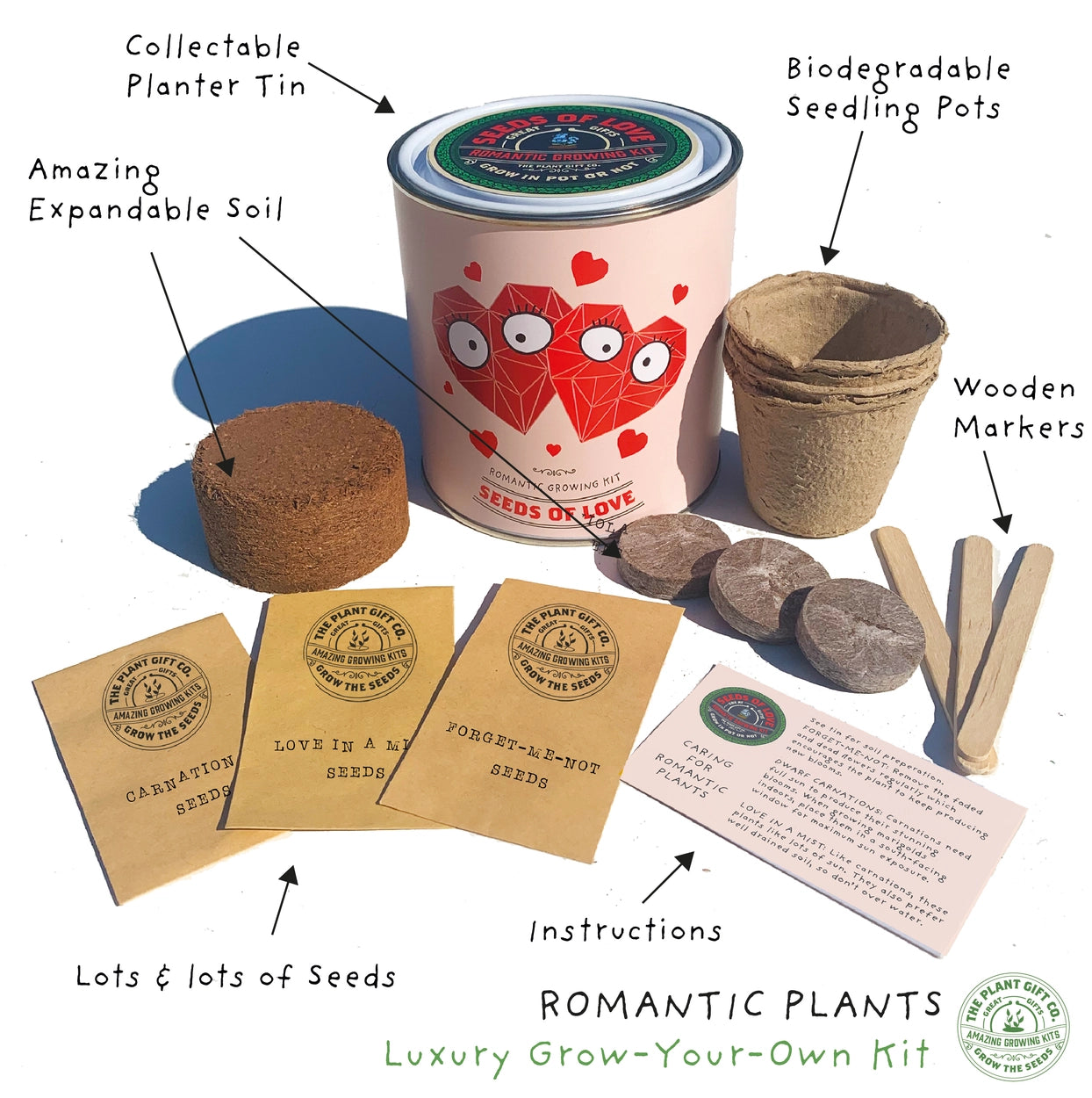 Seeds of Love Grow Your Own Flowers Tin Kit Gardening Gift