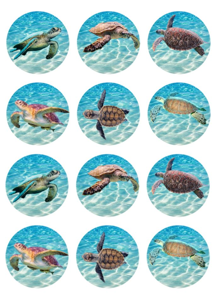 Sea Turtle Ocean Animal Theme edible printed Cupcake Toppers Icing Sheet of 12