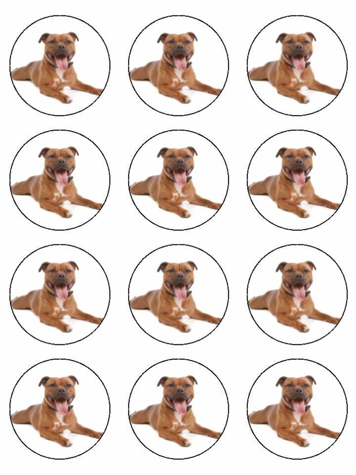 staffy bull terrier red edible Printed Cupcake Toppers Icing Sheet of 12 Toppers