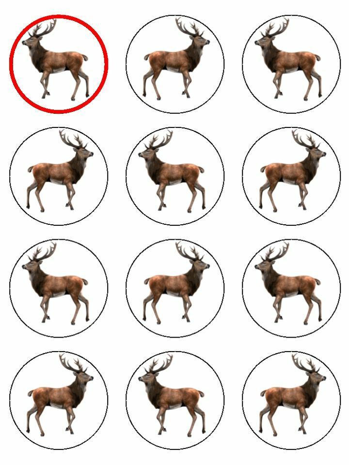 Deer Stag Animal Hunting Doe edible printed Cupcake Toppers Icing Sheet of 12 Toppers