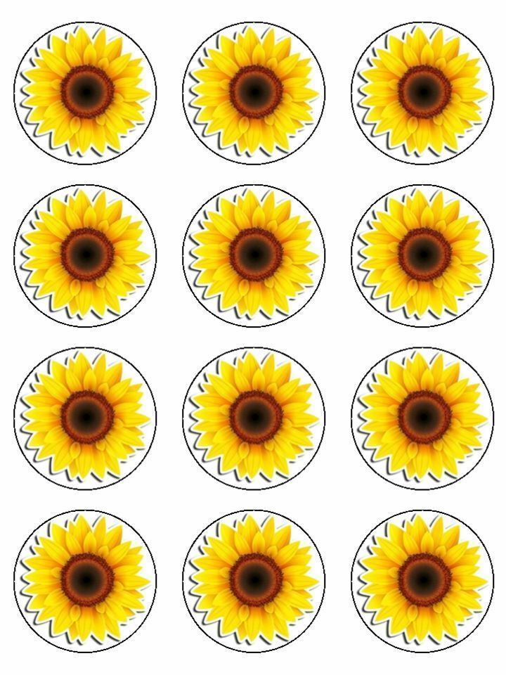 sunflower flowers floral flower Edible Printed Cupcake Toppers Icing Sheet of 12 Toppers