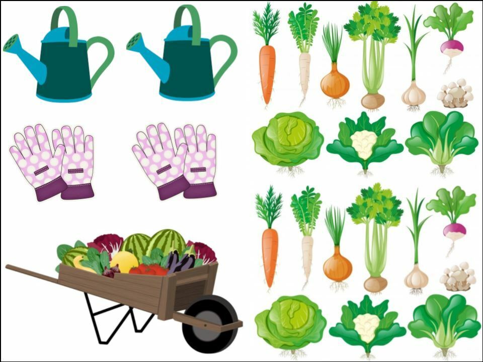 root Vegetable Veg Garden Allotment Background edible Printed Cake Decor Topper Icing Sheet  Toppers Decoration