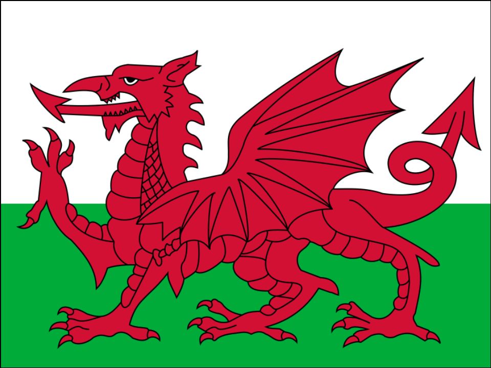 Wales Welsh Flag Dragon background Personalised Edible Printed Cake Topper Icing Sheet Rectangle / Oblong