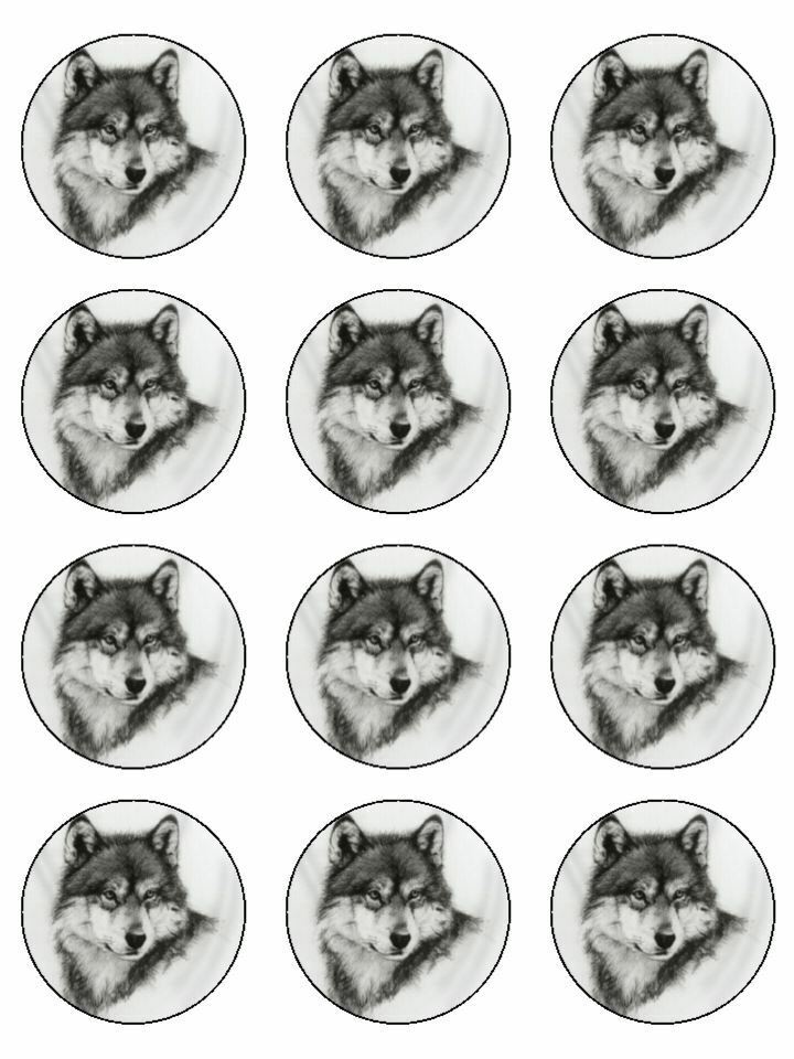 Wild wolf animal nature edible printed Cupcake Toppers Icing Sheet of 12 Toppers