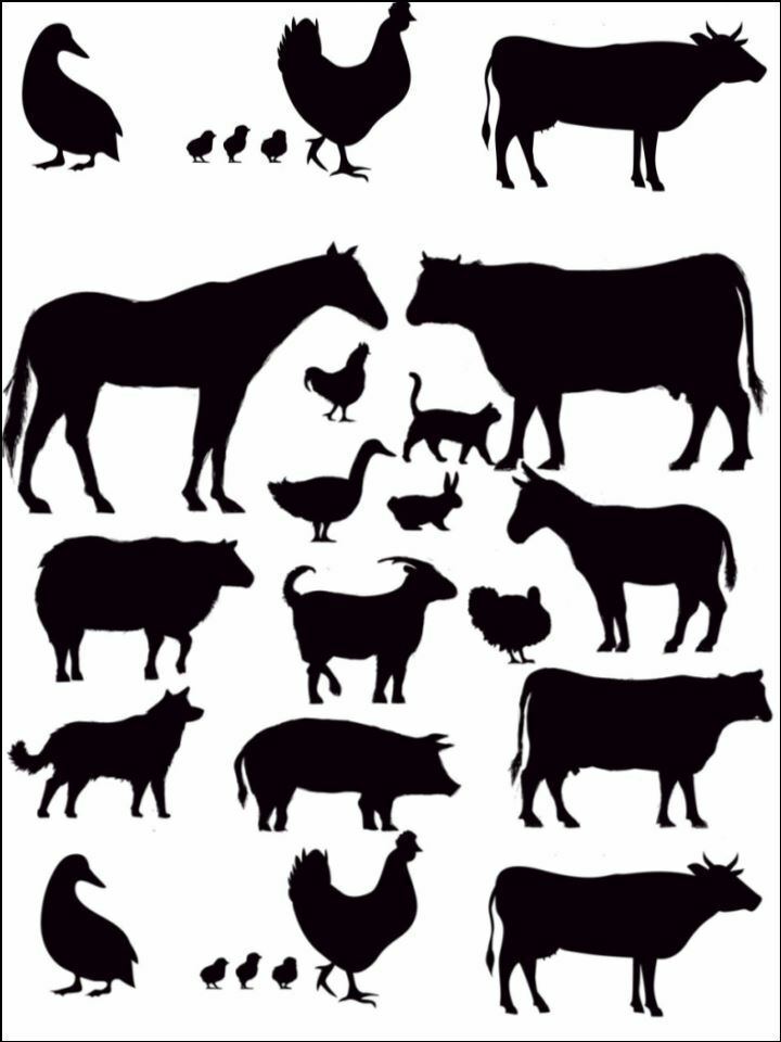Farming Farm animals oink Silhouettes Edible Printed Cake Decor Topper Icing Sheet Toppers Decoration Edible Printed Cake Decor Topper Icing Sheet Toppers Decoration
