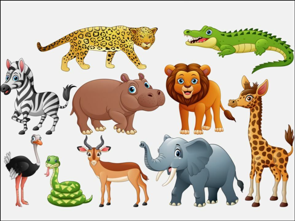 wild animals jungle animals Edible Printed Cake Decor Topper Icing Sheet Toppers Decoration Edible Printed Cake Decor Topper Icing Sheet Toppers Decoration