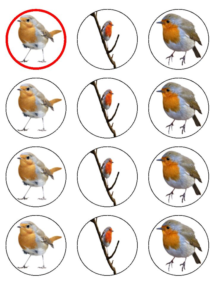 Robin Robins Winter British Bird edible printed Cupcake Toppers Icing Sheet of 12 Toppers