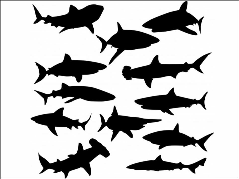 Sharks Fish animals silhouettes Edible Printed Cake Decor Topper Icing Sheet Toppers Decoration