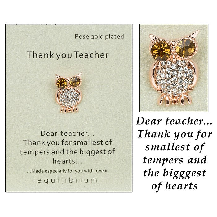 Equilibrium Sentiment Owl Pin Brooch Thank you Teacher - The Cooks Cupboard Ltd