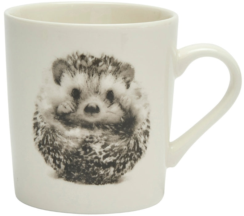 Ceramic Pretty Hedgehog Mug - The Cooks Cupboard Ltd