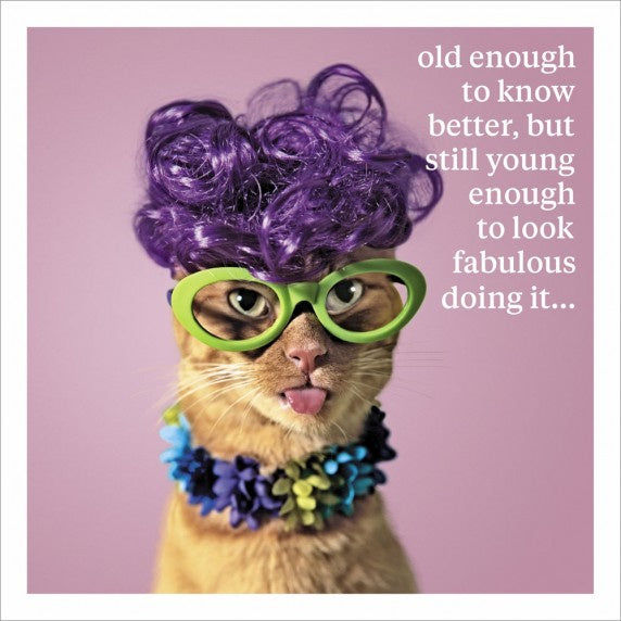 Greeting Card with Envelope - old enough to know better, still young enough to look fabulous doing it - The Cooks Cupboard Ltd