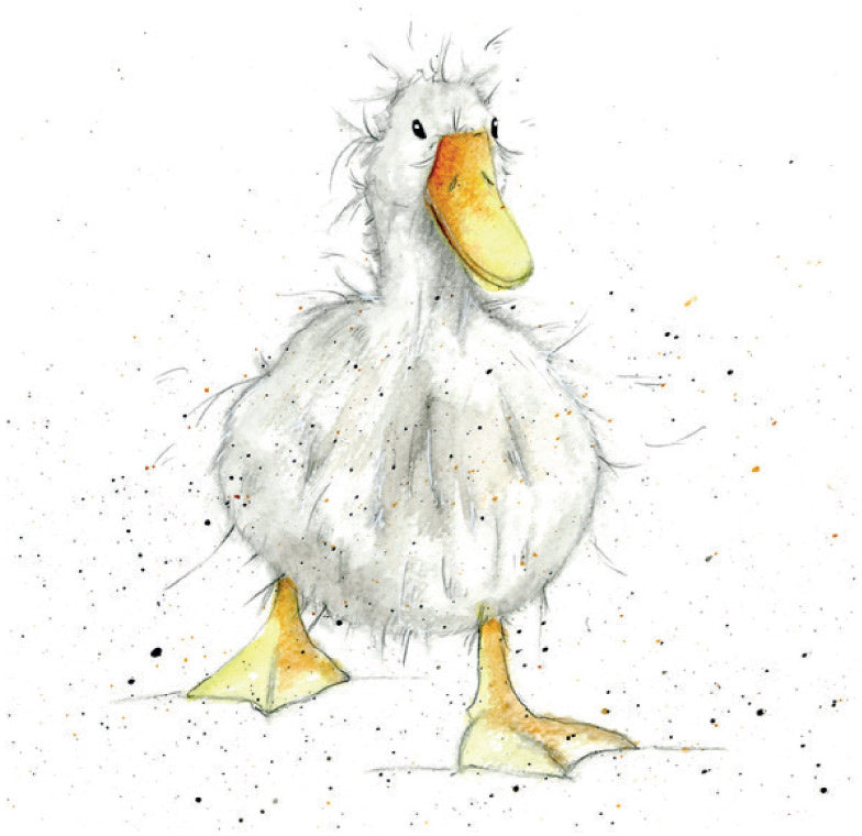 Greeting Card with Envelope - Duck Illustration - Kate's Cupboard