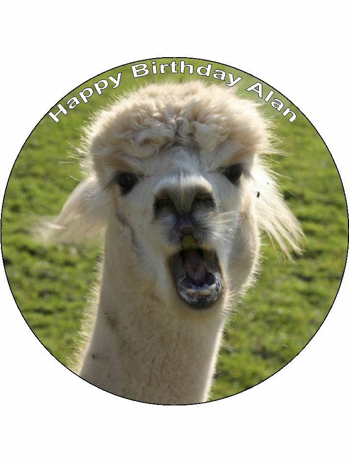Alpaca animal pet Personalised Edible Cake Topper Round Icing Sheet - The Cooks Cupboard Ltd
