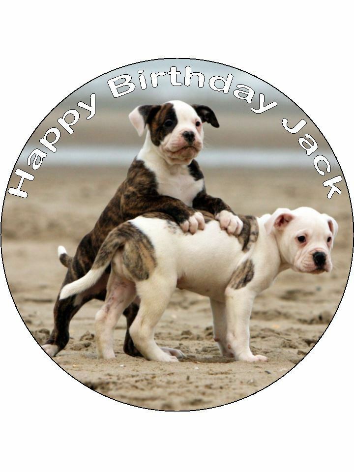 American bulldog pups Personalised Edible Cake Topper Round Icing Sheet - The Cooks Cupboard Ltd
