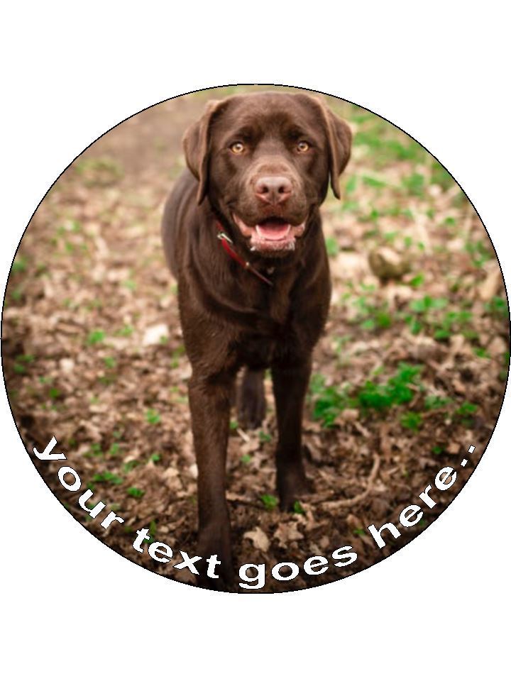 Brown Chocolate Labrador Dog Personalised Edible Cake Topper Round Icing Sheet - The Cooks Cupboard Ltd