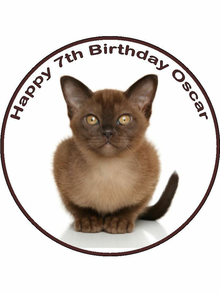 Burmese cat breed kitty cute Personalised Edible Cake Topper Round Icing Sheet - The Cooks Cupboard Ltd