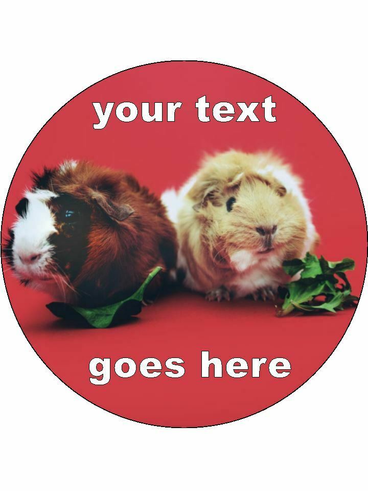 Cute guinea pig Pigs Pet Personalised Edible Cake Topper Round Icing Sheet - The Cooks Cupboard Ltd