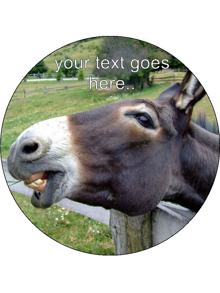 Donkey joke Funny Personalised Edible Cake Topper Round Icing Sheet - The Cooks Cupboard Ltd