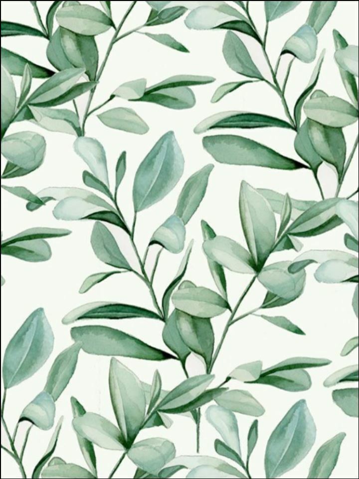 Eucalyptus green foliage green Edible Printed Cake Decor Topper Icing Sheet Toppers Decoration