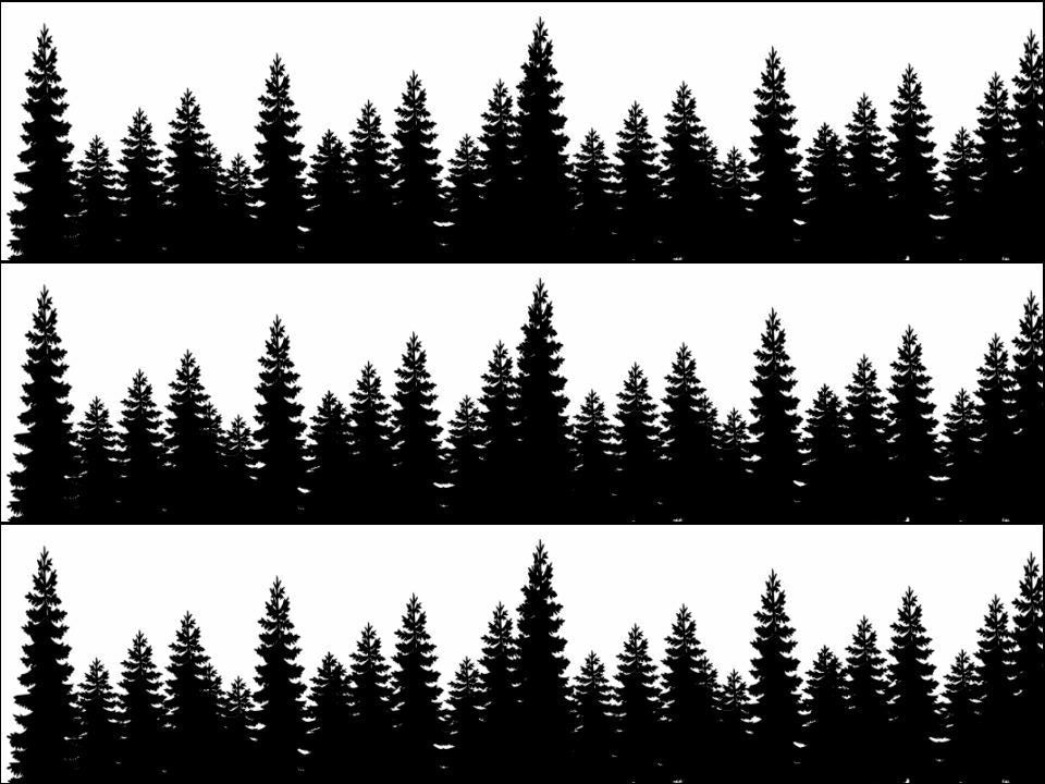 Forest Trees Tree Silhouette Ribbon Border Edible Printed Icing Sheet