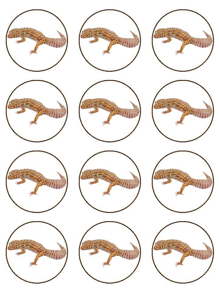 Gecko reptile animal creature Lizard Edible Printed Cupcake Toppers Icing Sheet of 12 Toppers