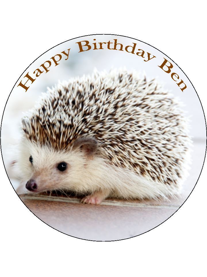 Hedgehog baby cute animal Personalised Edible Cake Topper Round Icing Sheet - The Cooks Cupboard Ltd