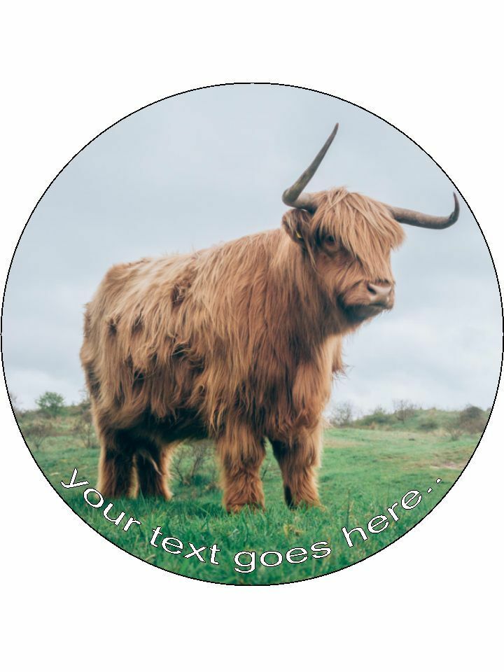 Highland Cattle Cow Personalised Edible Cake Topper Round Icing Sheet - The Cooks Cupboard Ltd