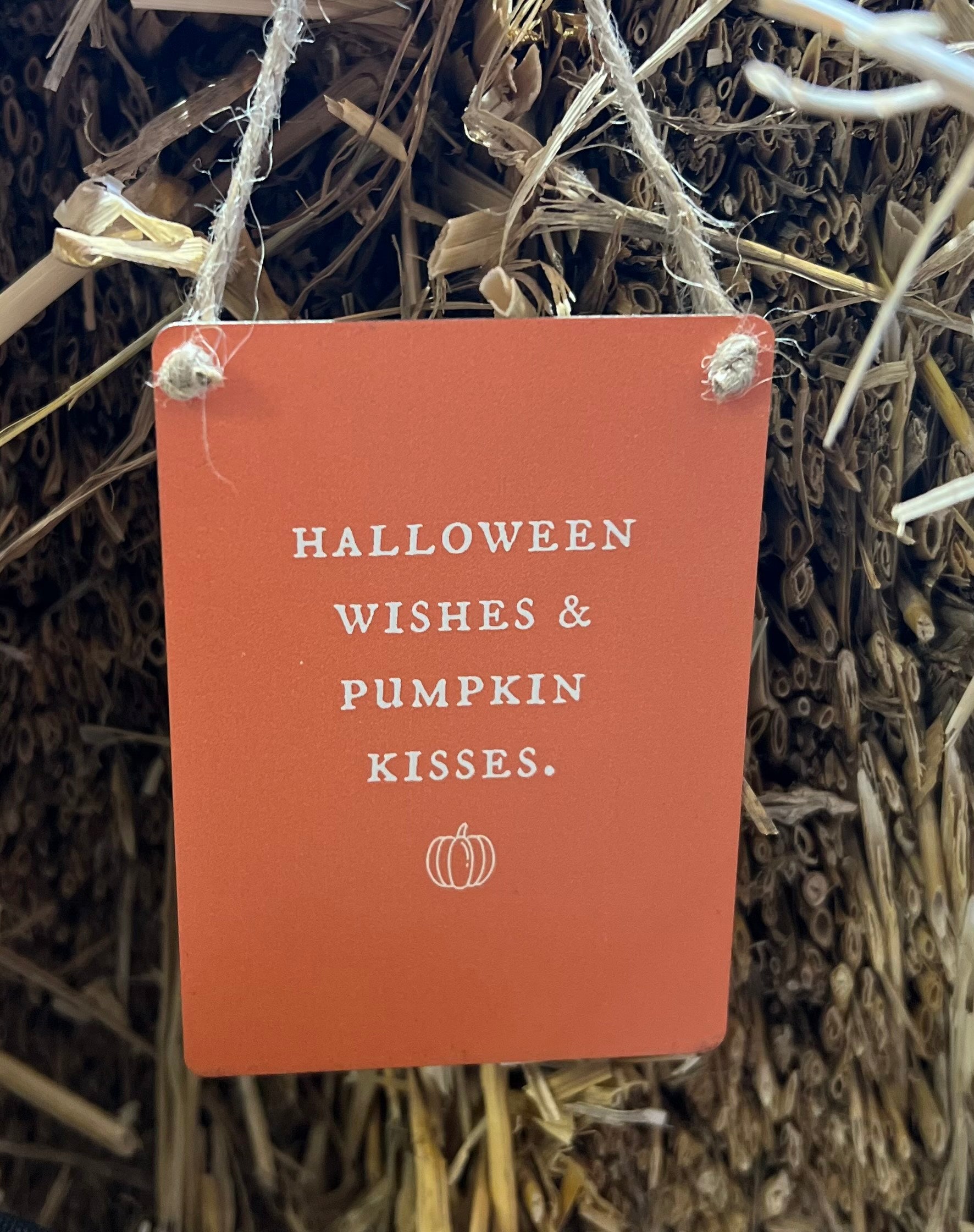 Halloween Wishes and Pumpkin Kisses Mini Metal Autumn Sign