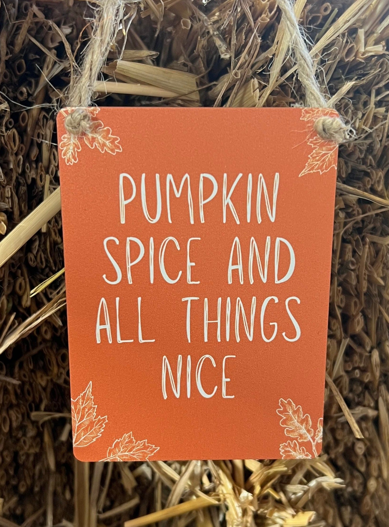 Pumpkin Spice and All Things Nice Mini Metal Autumn Sign