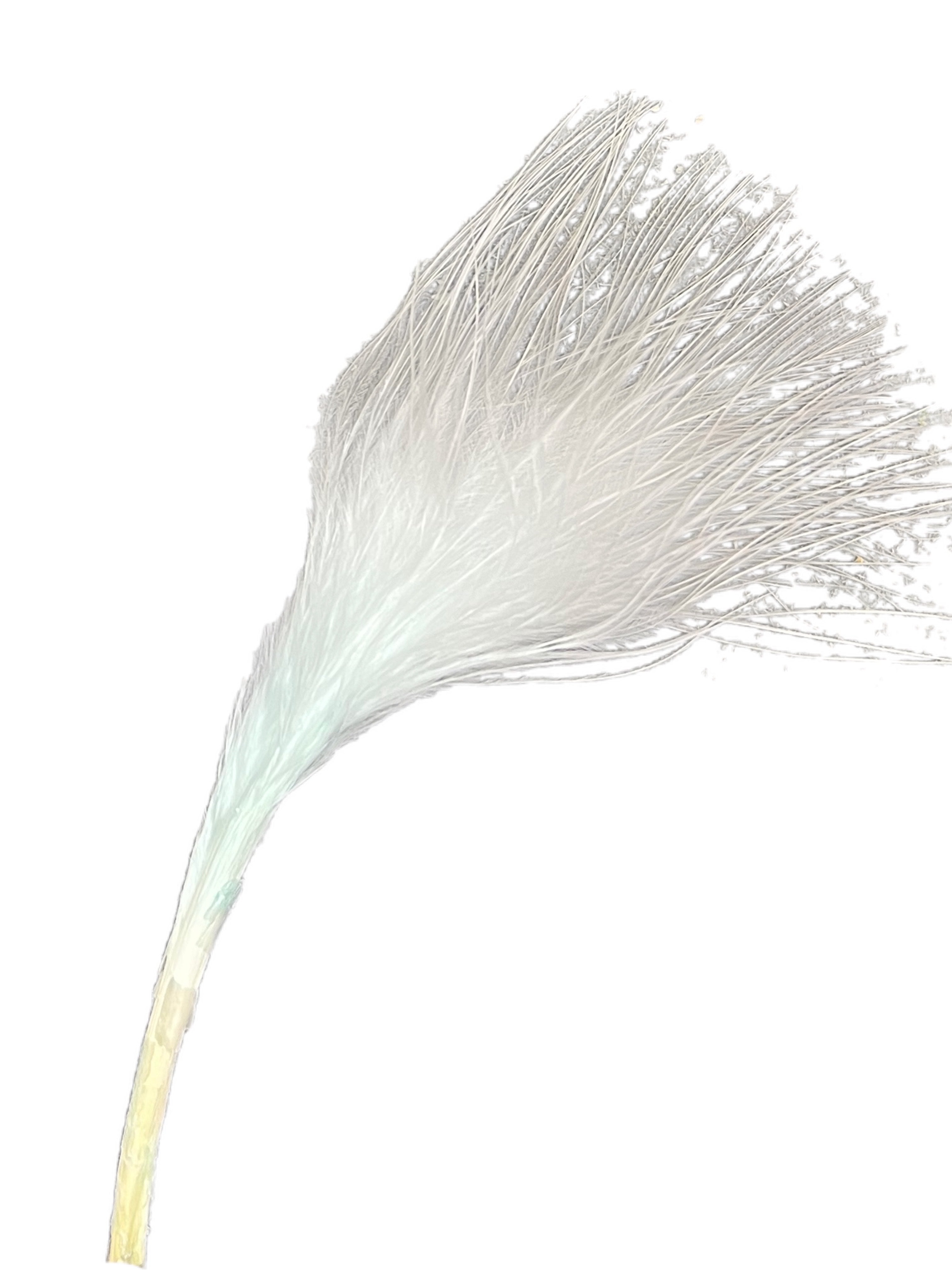 Club Green Pack of Single Feather Stems - Light Blue - Pack of approx. 36