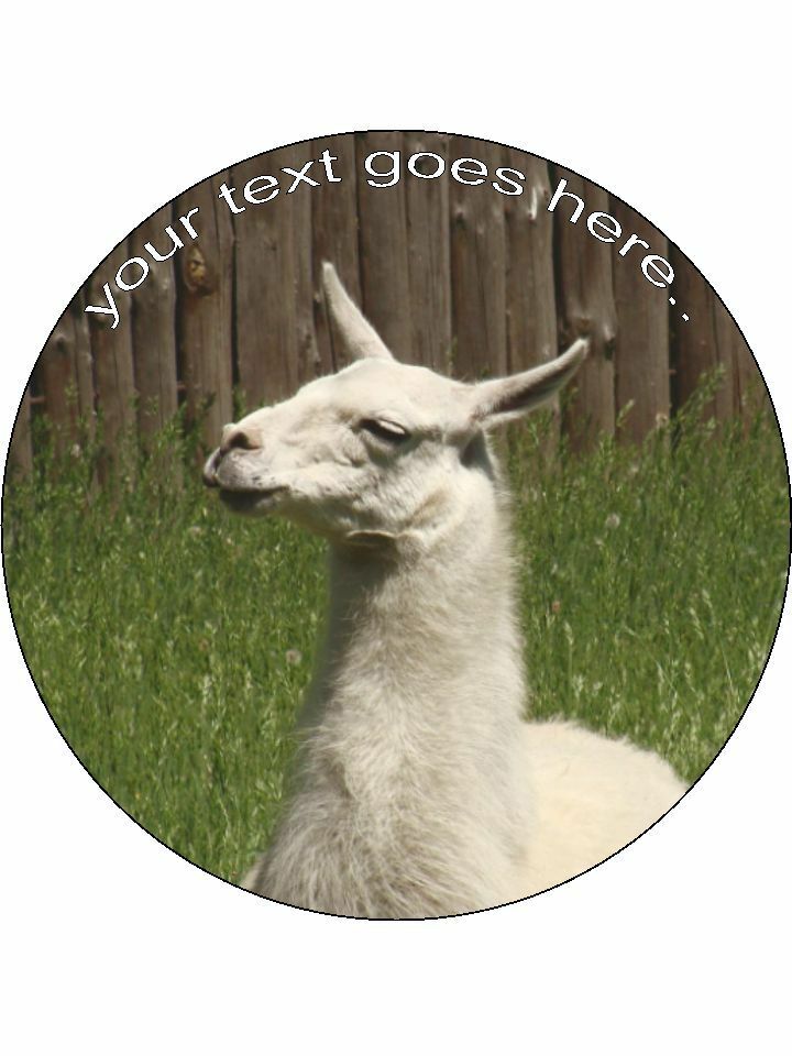 Llama Funny Animal Personalised Edible Cake Topper Round Icing Sheet - The Cooks Cupboard Ltd
